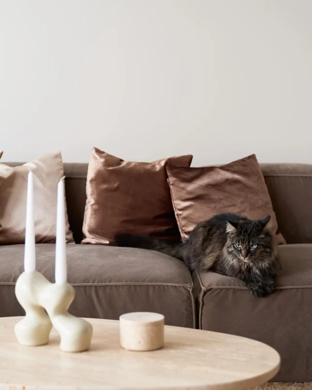 No.27 | Pic @karrrlk 
Furniture @arhainteriors
#interiordesign #turnkeyprojects #sisekujundaja #beautifulhomes #sisearhitekt #homedesign #interiorandhome #furniture #furnituredesign #interiorarchitecture#interior123 #kodu #sisekujundus #eritellimusmööbel #interjöör #sisustus #kodukujundus #moderninterior #interiordesigner #interior #interior_and_living @kaubamaja